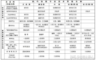 职称类别 专业技术 职称的分类