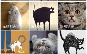 对话猫是什么软件下载 百度黑科技让宠物开口说话！猫主子的“喵言喵语”终于能听懂了