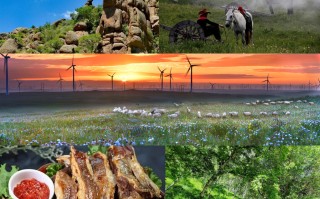 内蒙旅游短视频制作 汪小菲带家人去内蒙古草原旅游过程详细记录